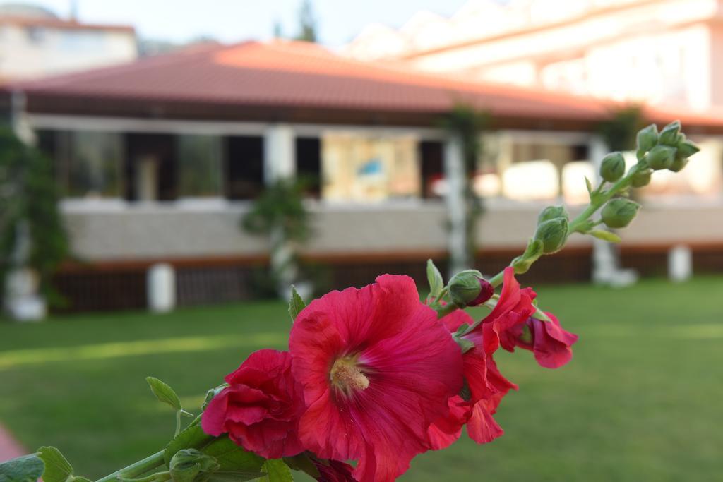 Oludeniz Turquoise Hotel 외부 사진